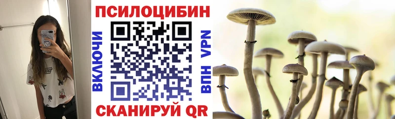 Псилоцибиновые грибы Psilocybine cubensis  сколько стоит  Хабаровск 