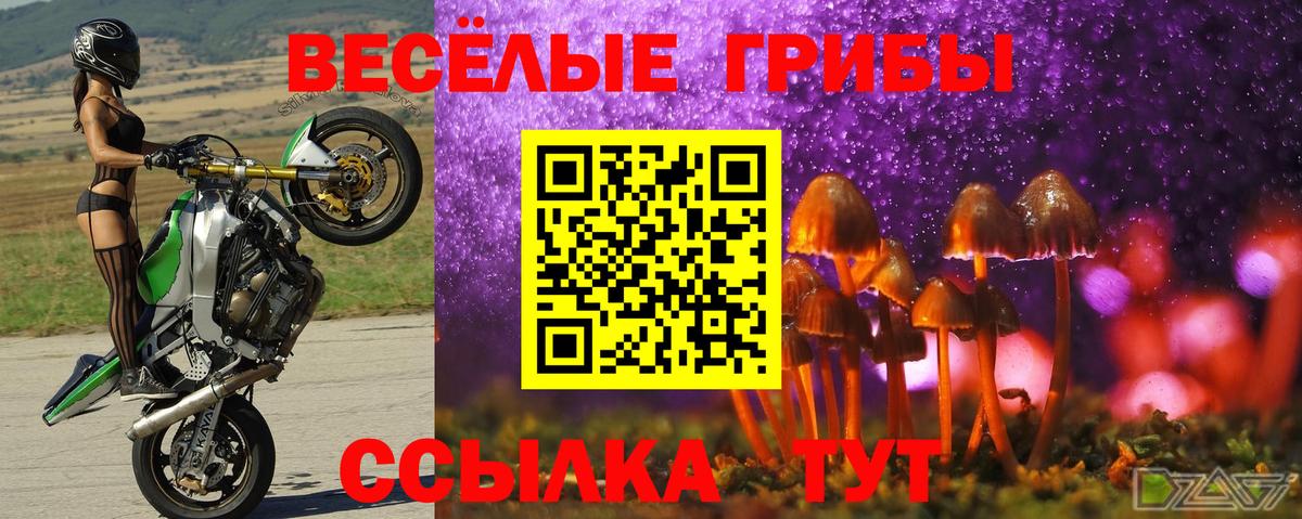Псилоцибиновые грибы Cubensis  Вход с VPN  Хабаровск  Псилоцибиновые грибы Psilocybe 