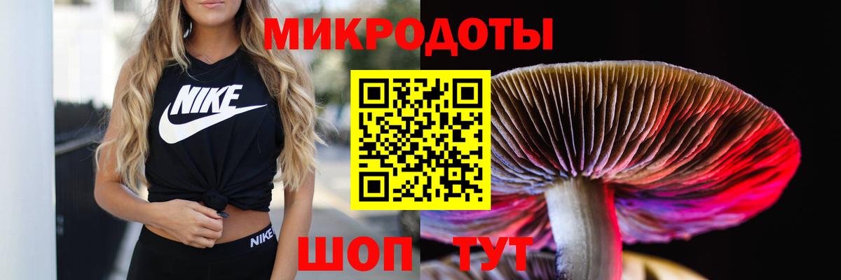Псилоцибиновые грибы Psilocybine cubensis Хабаровск